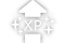 Experience Bar